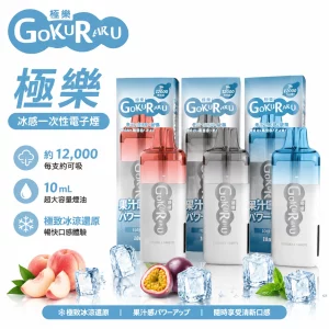 GOKURAKU 極樂 12000口 極樂冰感 一次性電子煙