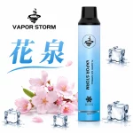 VAPOR STORM 風暴 5000口 一次性電子煙 花泉口味