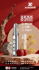 一次性電子煙｜XIAOKE 梟客 8500口 - 山楂口味