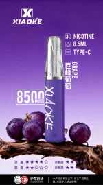 一次性電子煙｜XIAOKE 梟客 8500口 - 巨峰葡萄口味
