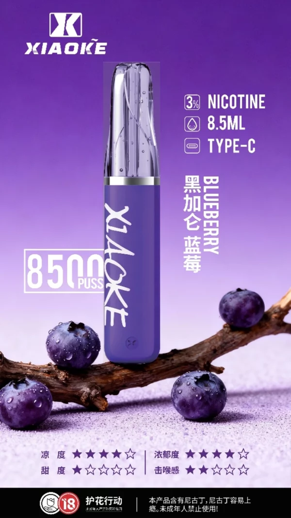 一次性電子煙｜XIAOKE 梟客 8500口 - 黑加侖藍莓口味